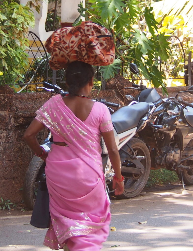 Sunflower India